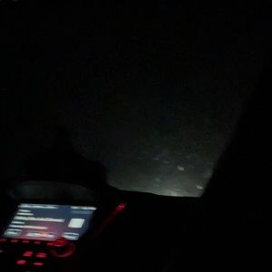 Meet your Posher, Dalton